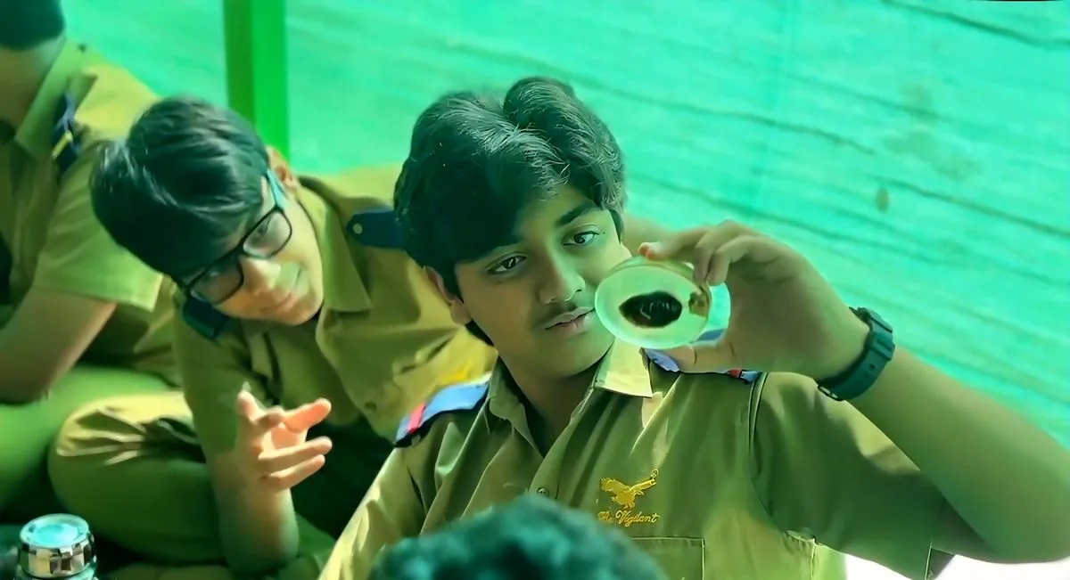 Silk Cocoons Exhibit